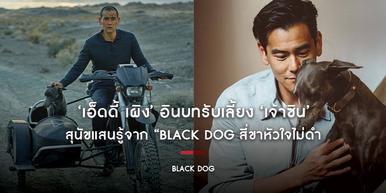 ‘เอ็ดดี้ เผิง’ อินบทรับเลี้ยง ‘เจ้าซิน’ สุนัขแสนรู้จาก “Black Dog สี่ขาหัวใจไม่ดำ” 